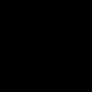 Meet your Posher, Trent